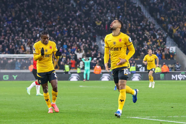 球迷的期待 球迷的期待